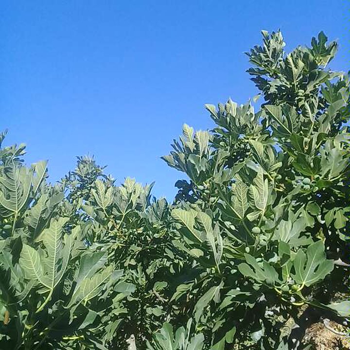 My Crowdsourcing Posts