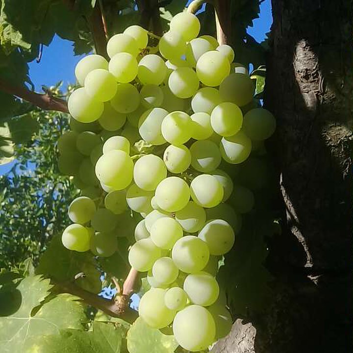 My Crowdsourcing Posts