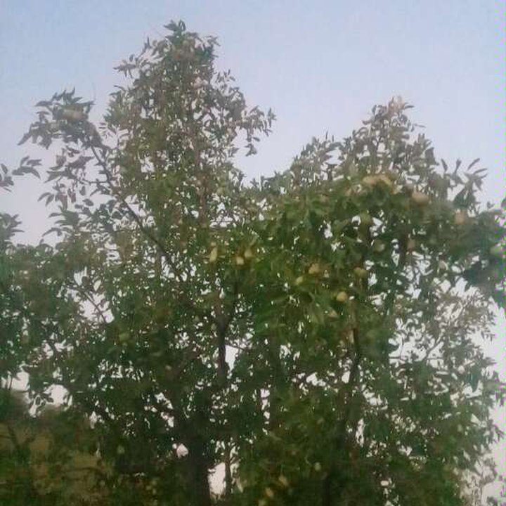 My Crowdsourcing Posts