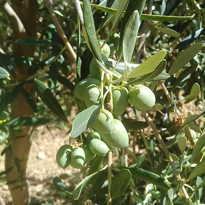 My Crowdsourcing Posts