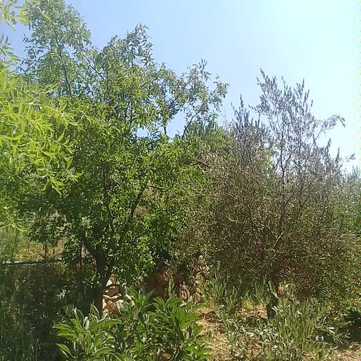 My Crowdsourcing Posts