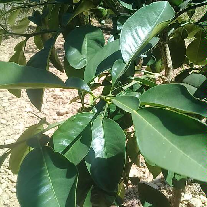 My Crowdsourcing Posts