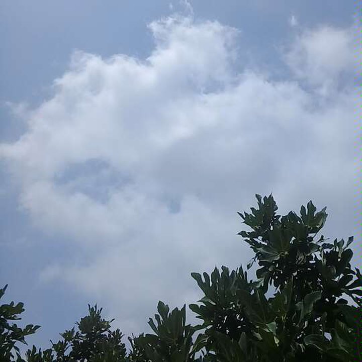 My Crowdsourcing Posts