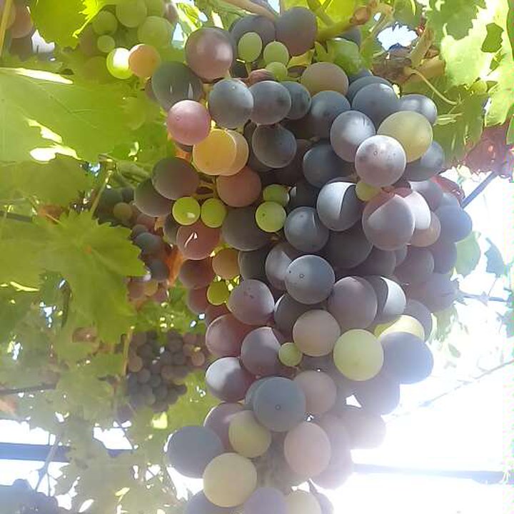 My Crowdsourcing Posts