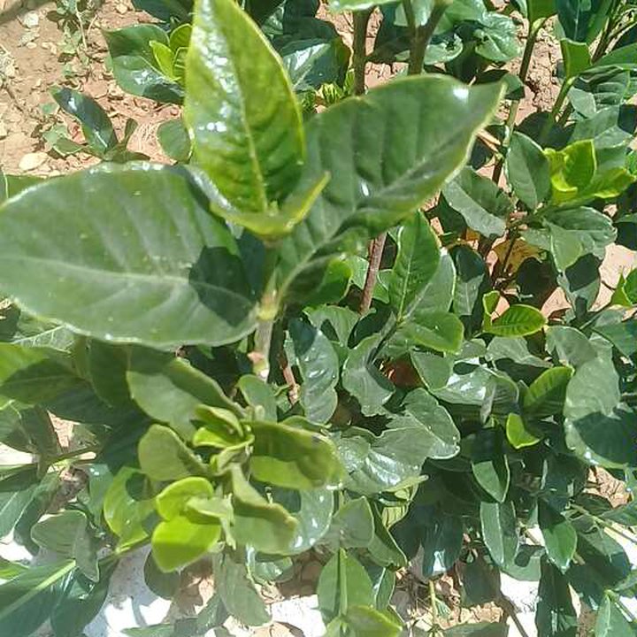 My Crowdsourcing Posts