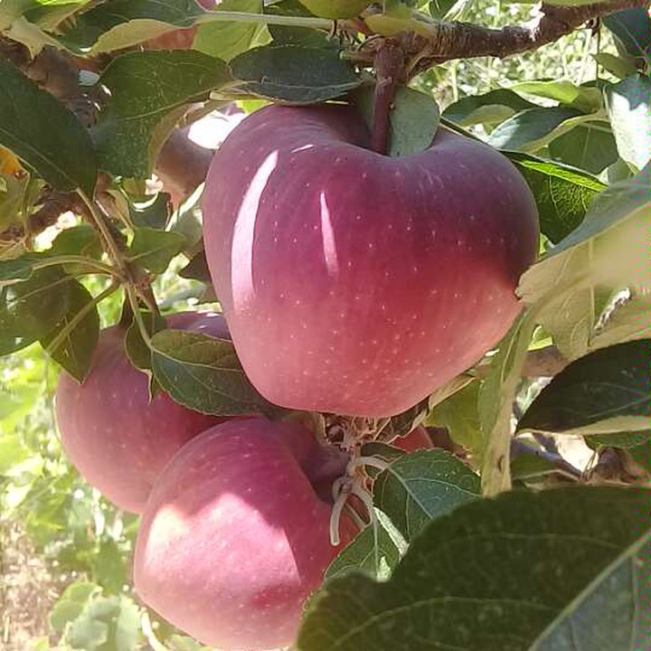 My Crowdsourcing Posts