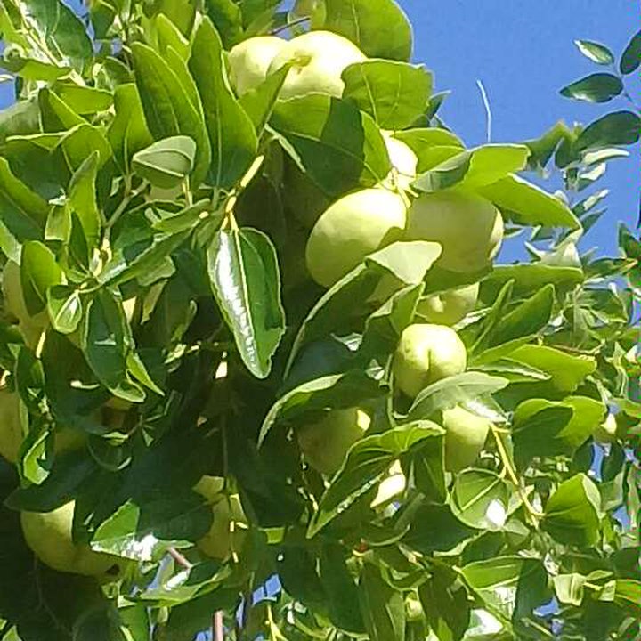 My Crowdsourcing Posts