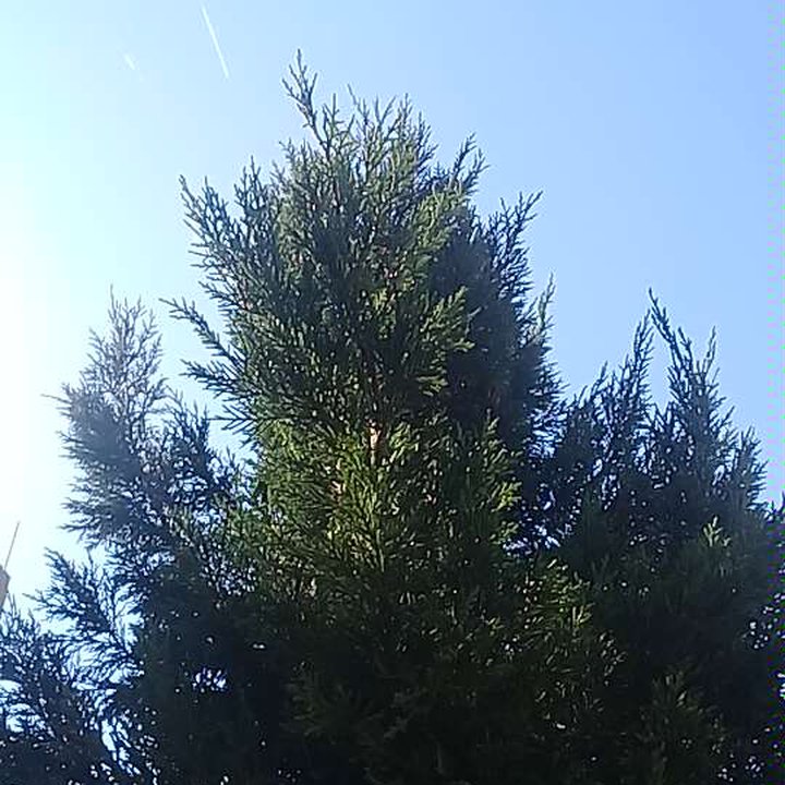 My Crowdsourcing Posts