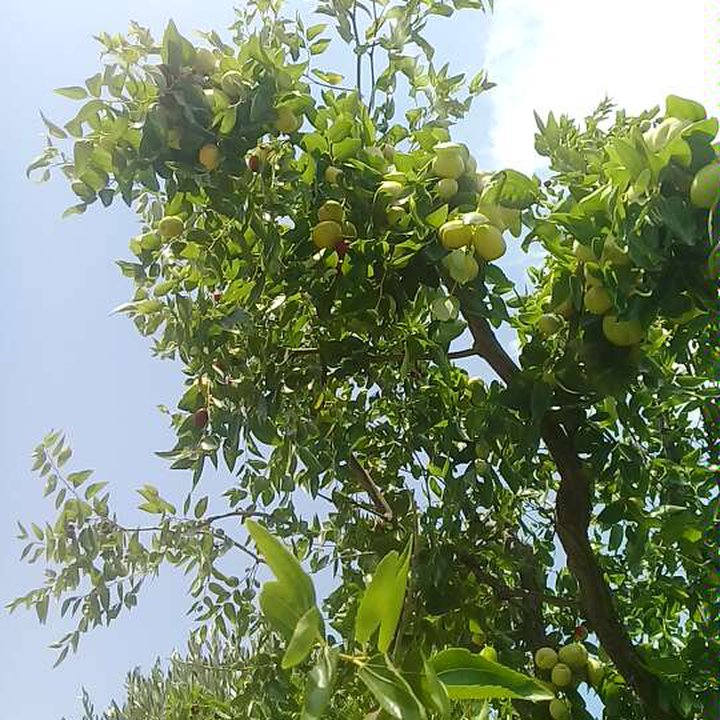 My Crowdsourcing Posts