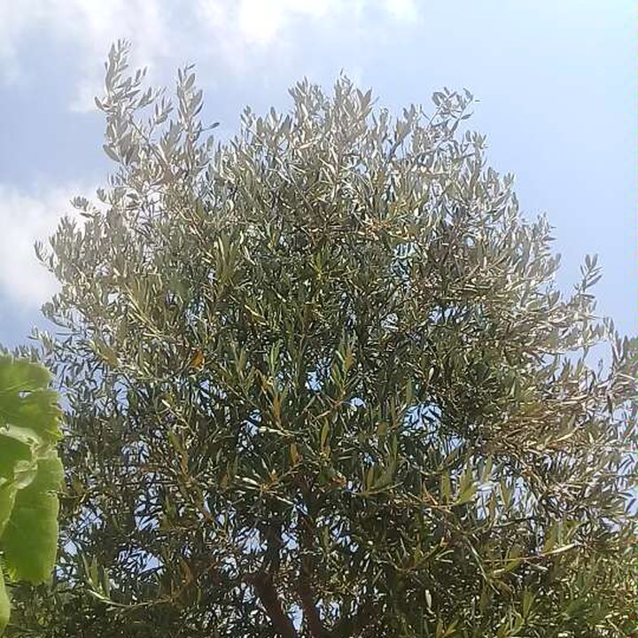 My Crowdsourcing Posts