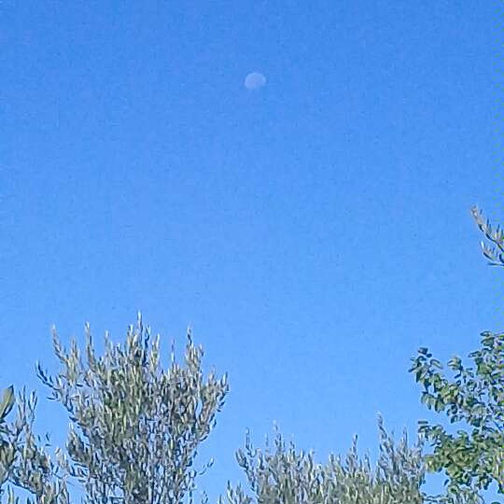 My Crowdsourcing Posts