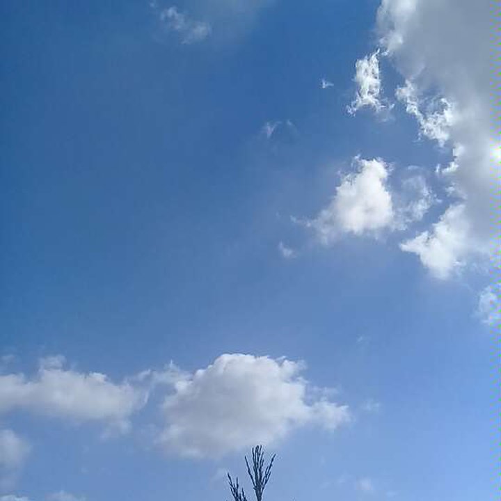 My Crowdsourcing Posts