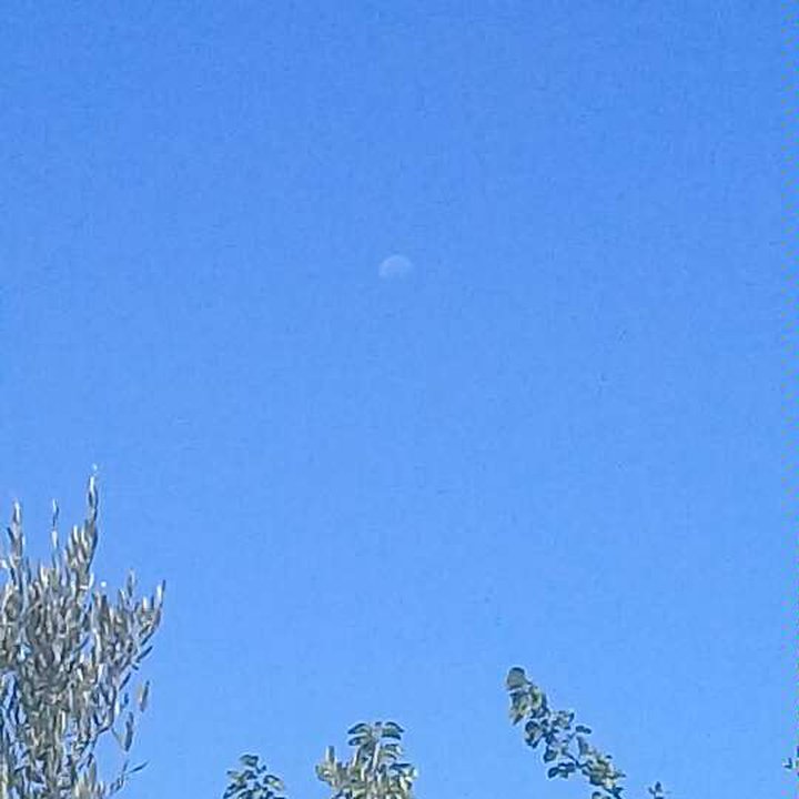 My Crowdsourcing Posts