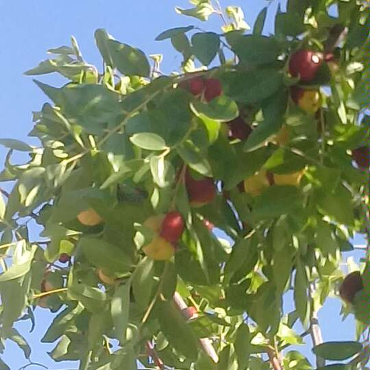 My Crowdsourcing Posts