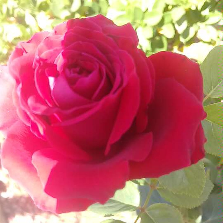 My Crowdsourcing Posts