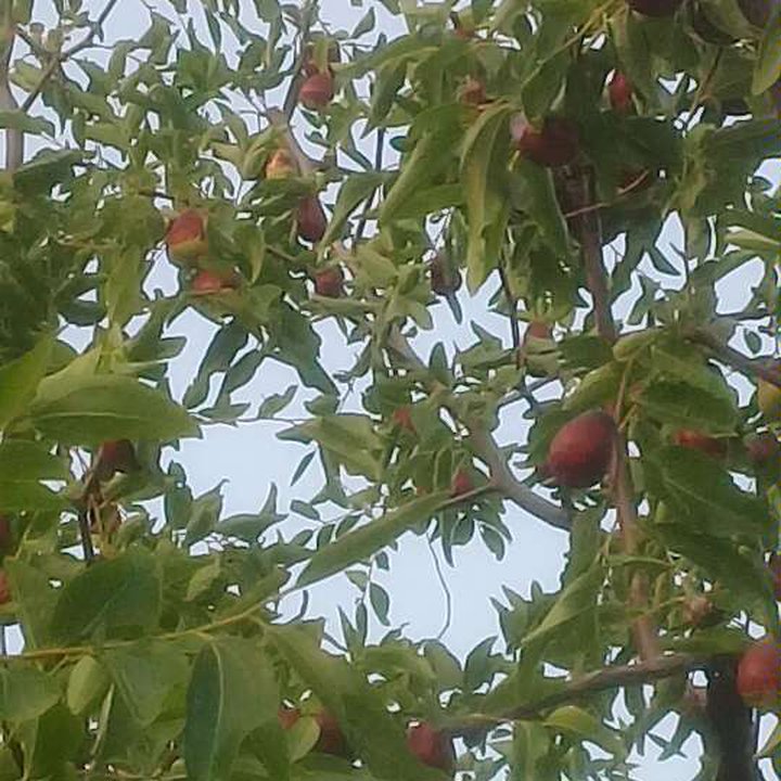 My Crowdsourcing Posts