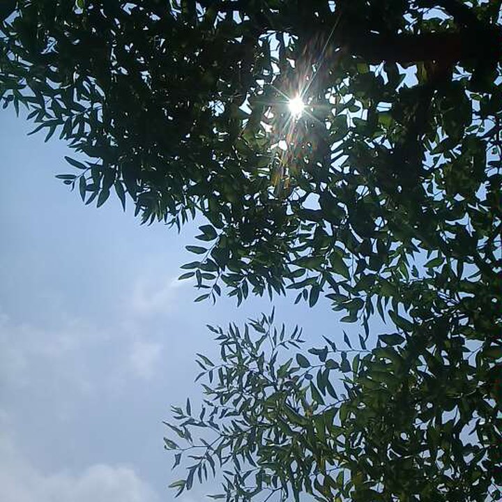 My Crowdsourcing Posts