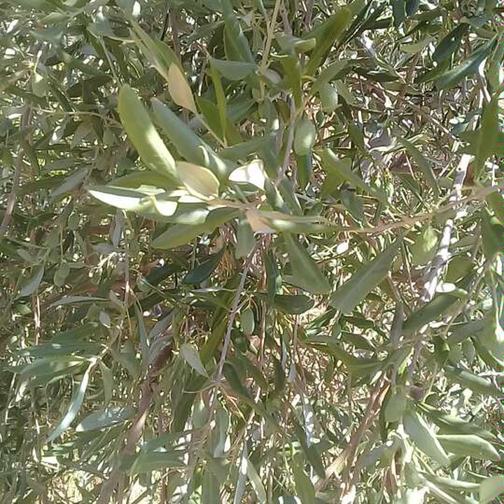 My Crowdsourcing Posts