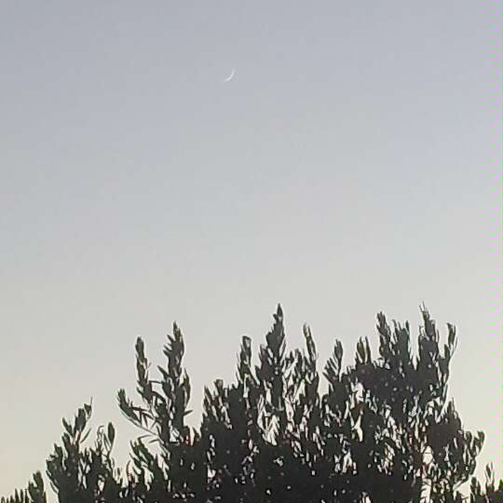 My Crowdsourcing Posts