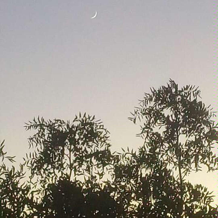 My Crowdsourcing Posts