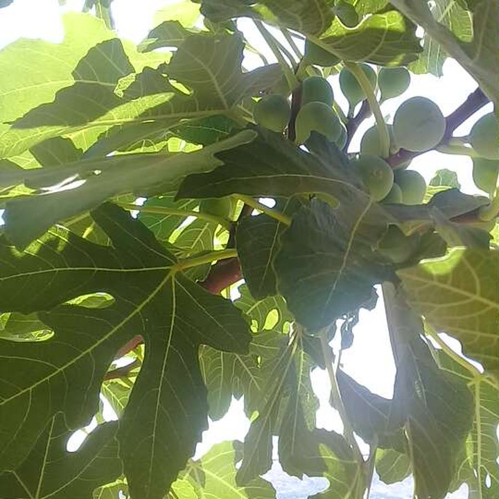 My Crowdsourcing Posts