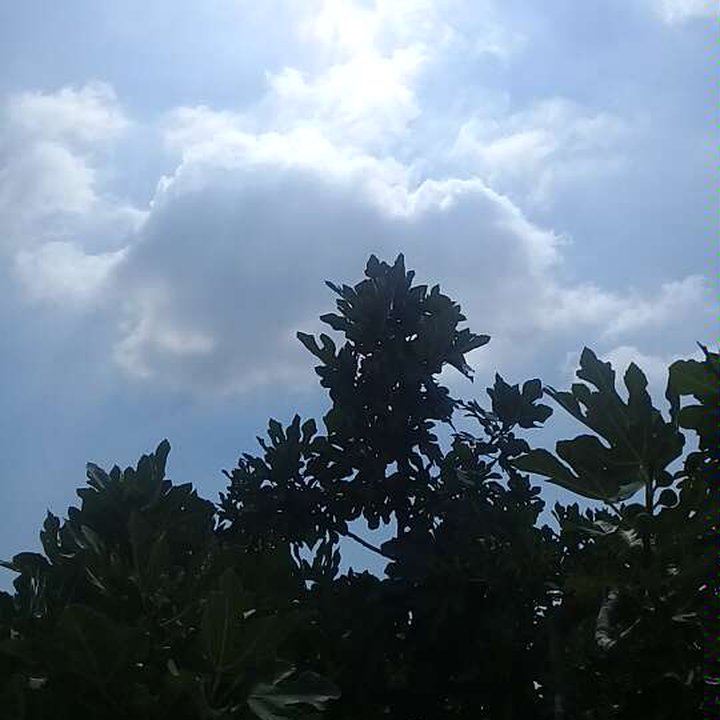 My Crowdsourcing Posts