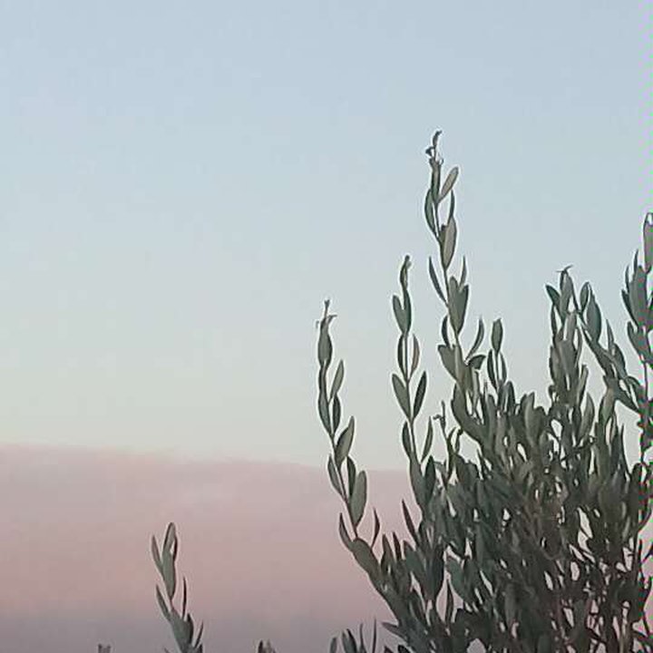 My Crowdsourcing Posts