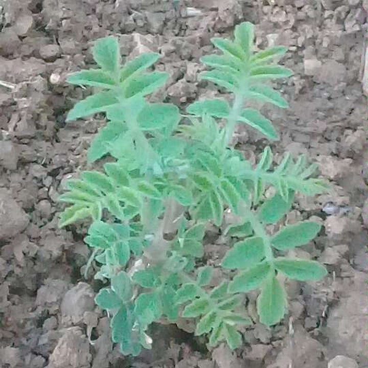 My Crowdsourcing Posts