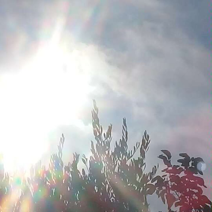 My Crowdsourcing Posts