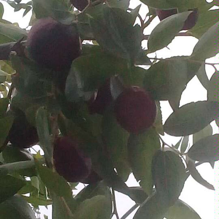 My Crowdsourcing Posts