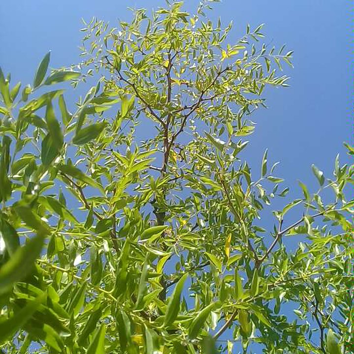 My Crowdsourcing Posts