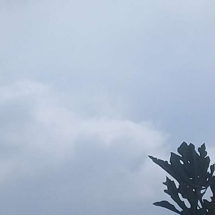 My Crowdsourcing Posts