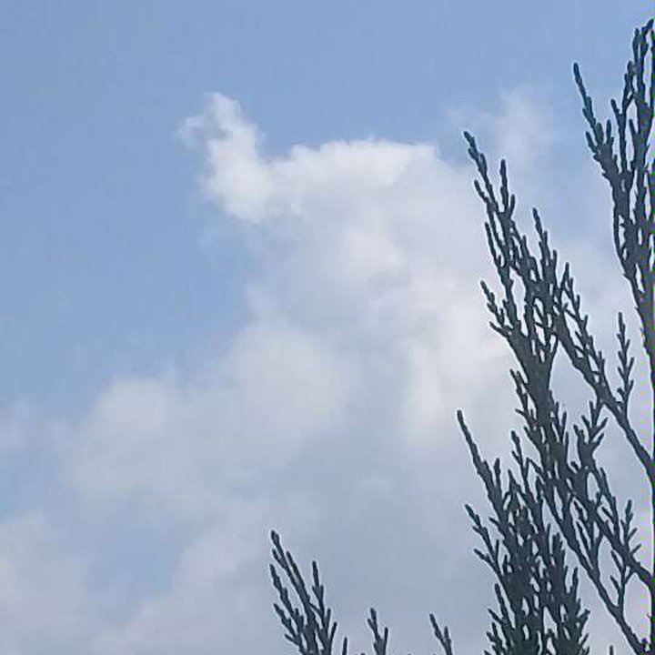 My Crowdsourcing Posts