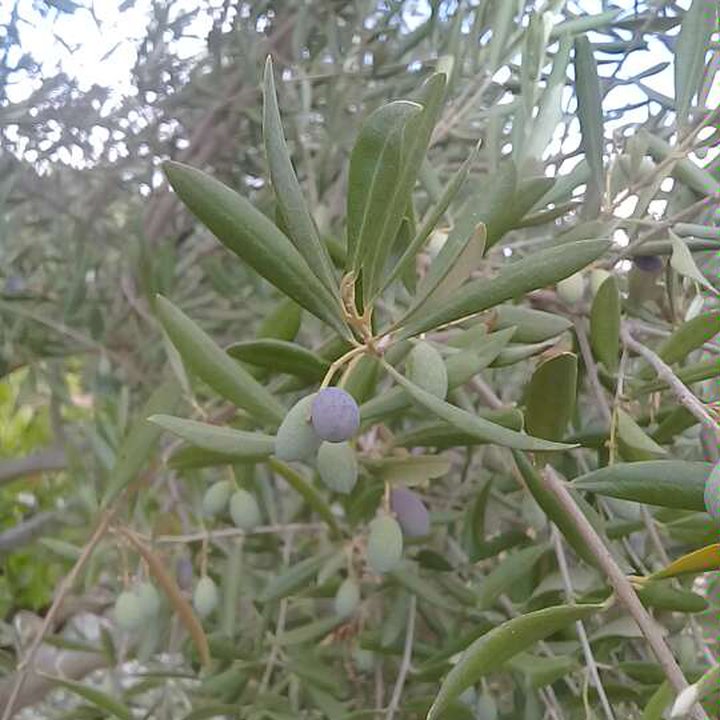 My Crowdsourcing Posts