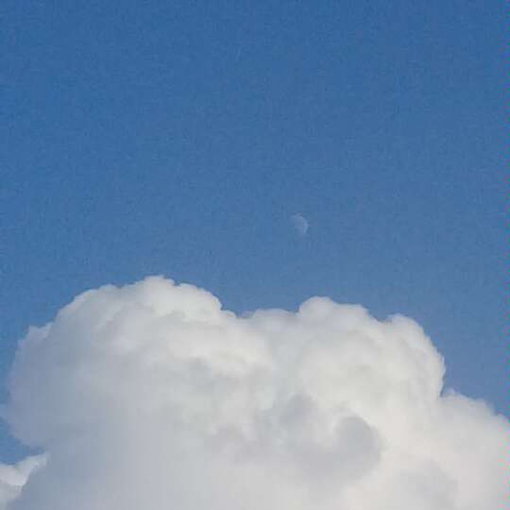 My Crowdsourcing Posts