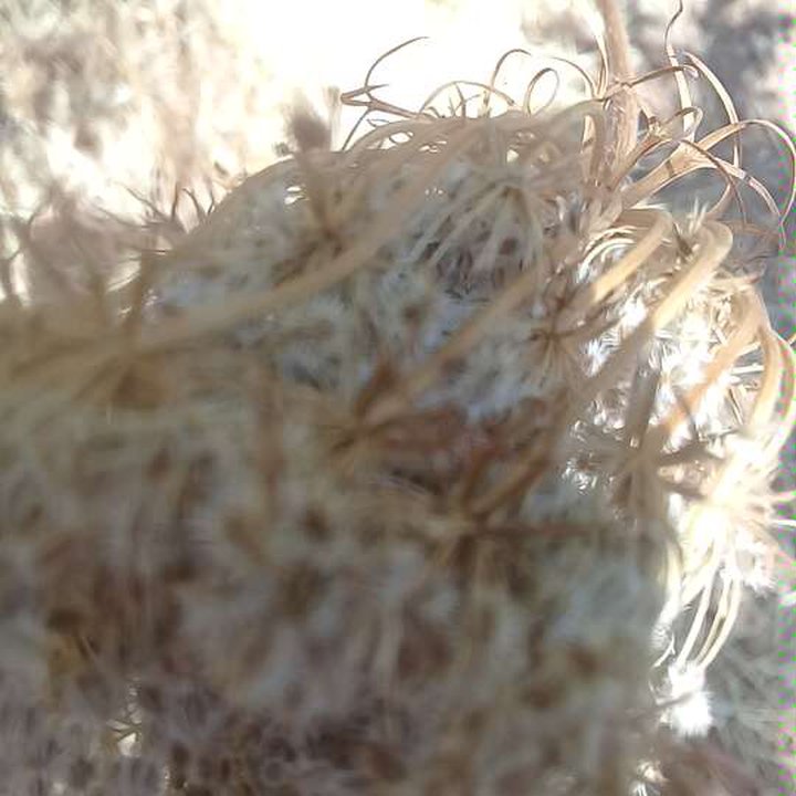 My Crowdsourcing Posts