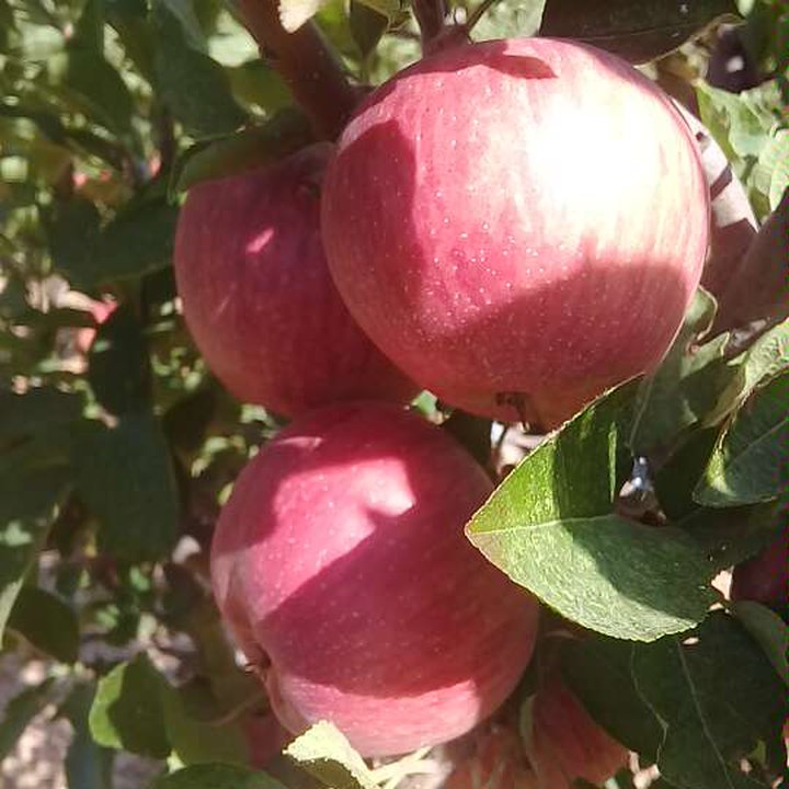 My Crowdsourcing Posts