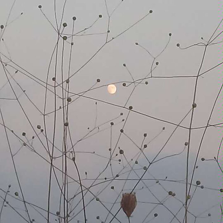 My Crowdsourcing Posts