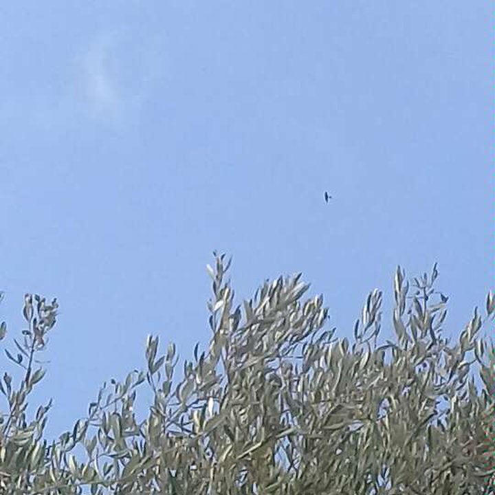 My Crowdsourcing Posts