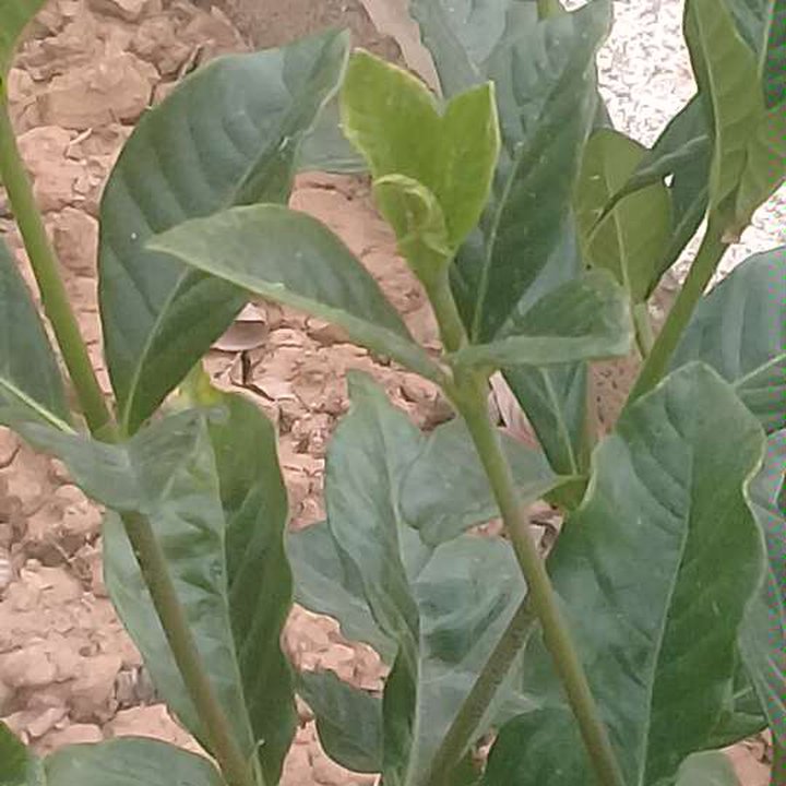 My Crowdsourcing Posts