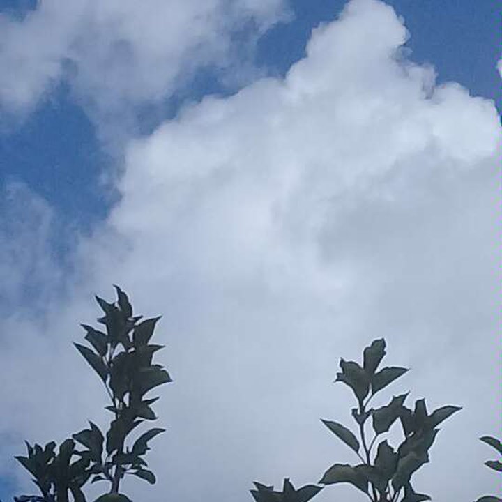 My Crowdsourcing Posts