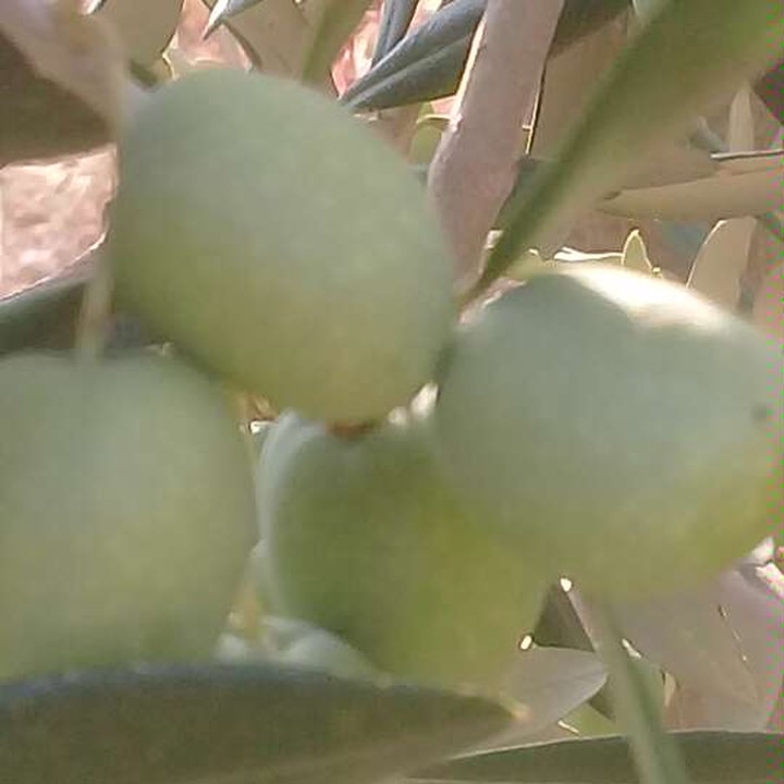 My Crowdsourcing Posts