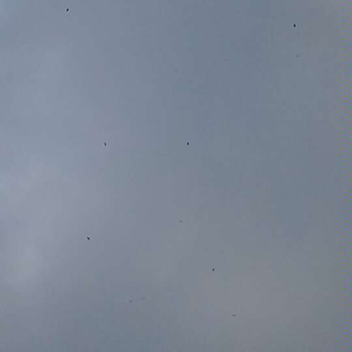 My Crowdsourcing Posts