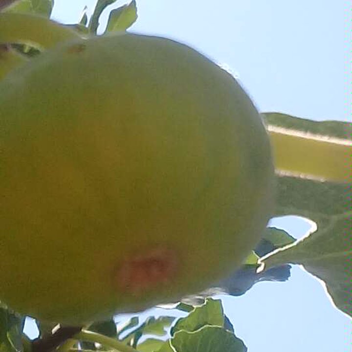 My Crowdsourcing Posts