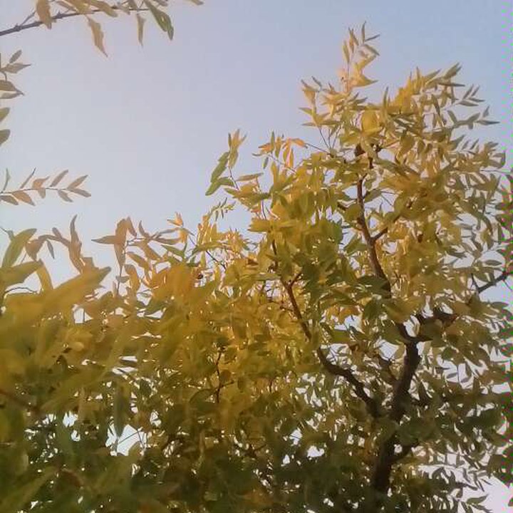 My Crowdsourcing Posts