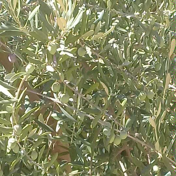 My Crowdsourcing Posts