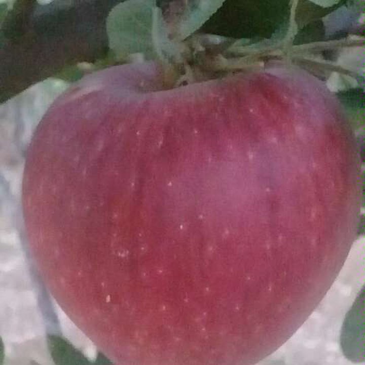 My Crowdsourcing Posts