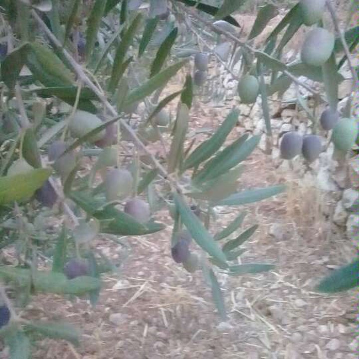 My Crowdsourcing Posts