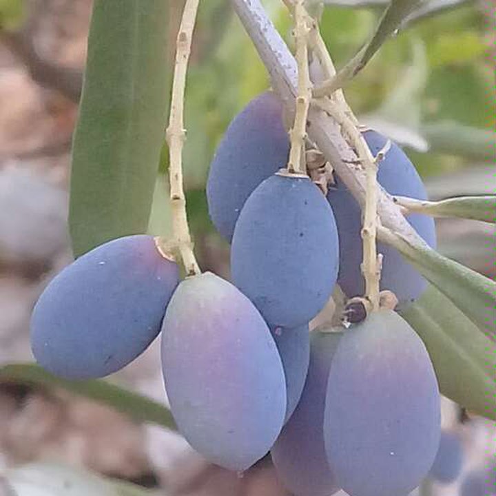 My Crowdsourcing Posts