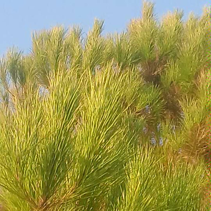 My Crowdsourcing Posts